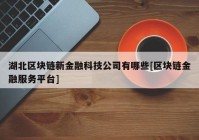 湖北区块链新金融科技公司有哪些[区块链金融服务平台]